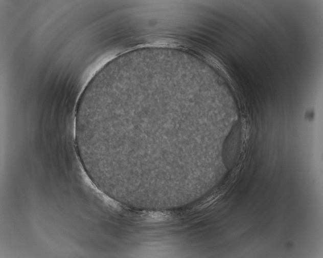 X0000115071095200912081142