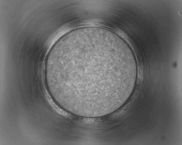 X0000115071098200912081142