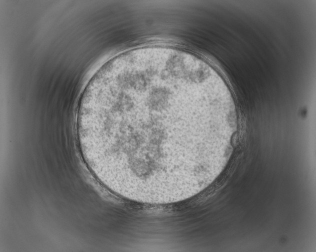 X0000115071099200912081142