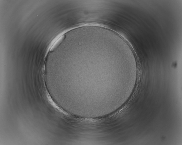 X0000115071100200912081142