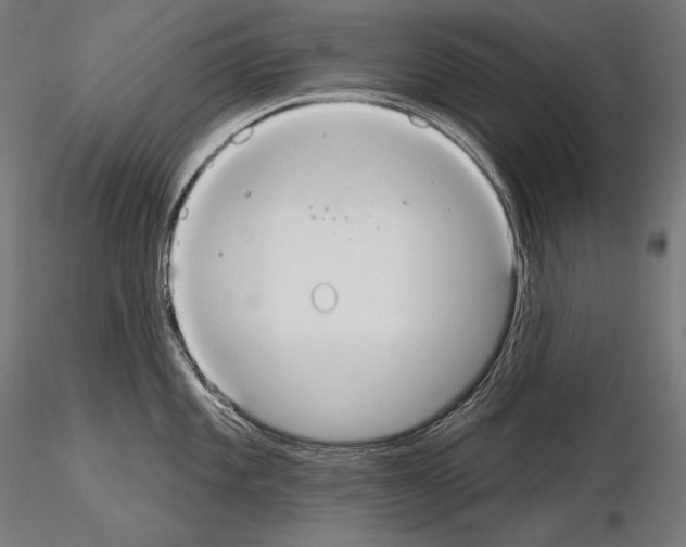 X0000115071101200912081142