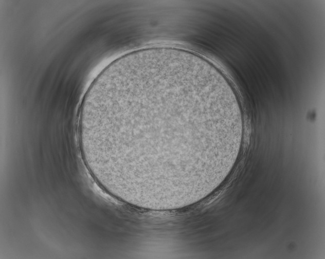 X0000115071102200912081142