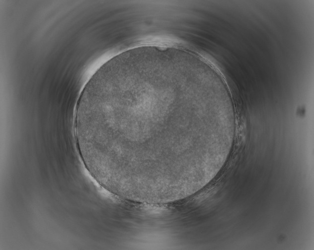 X0000115071103200912081142