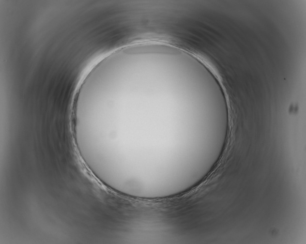 X0000115071104200912081142