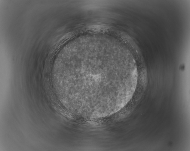 X0000115071105200912081141