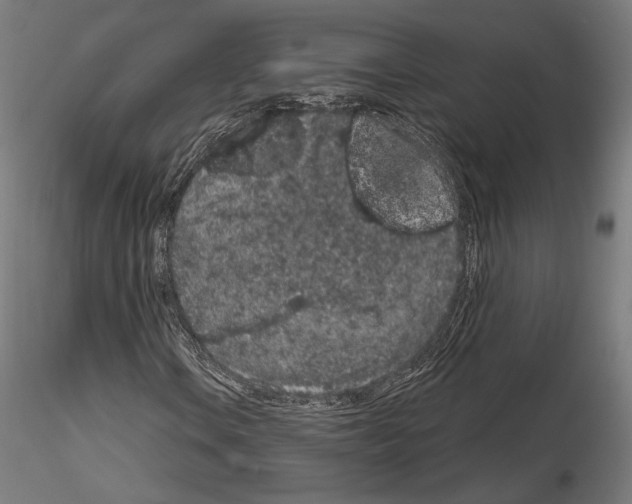 X0000115071106200912081141