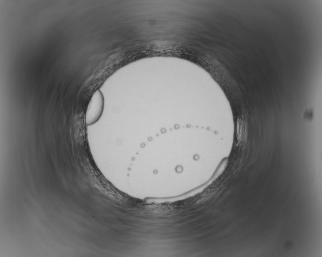 X0000115071107200912081141