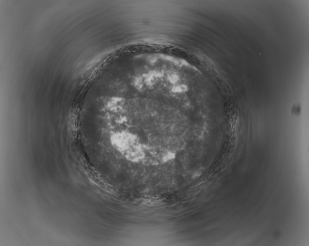 X0000115071110200912081141