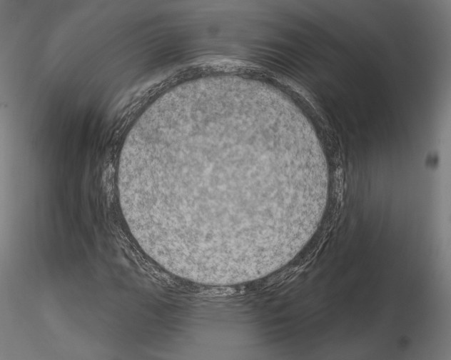 X0000115071111200912081141