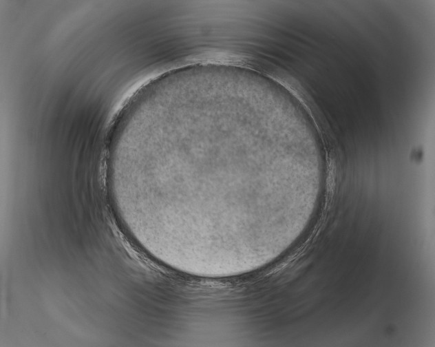 X0000115071115200912081141