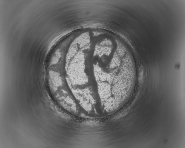 X0000115071117200912081141