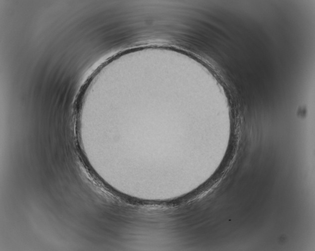 X0000115071118200912081141