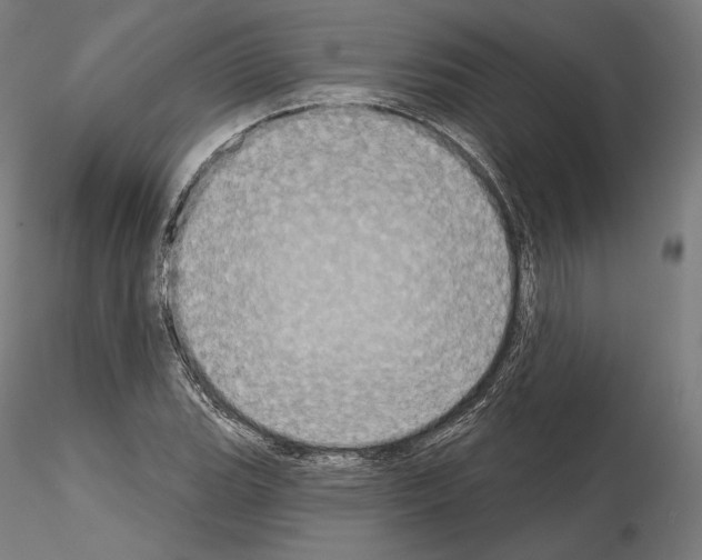 X0000115071119200912081141