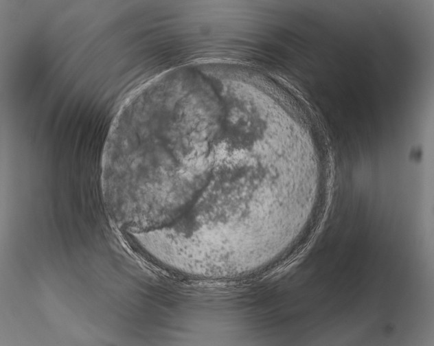 X0000115071121200912081141