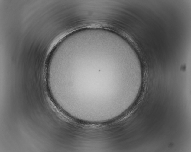 X0000115071122200912081141