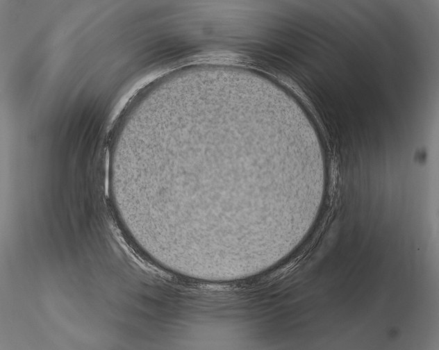 X0000115071123200912081141