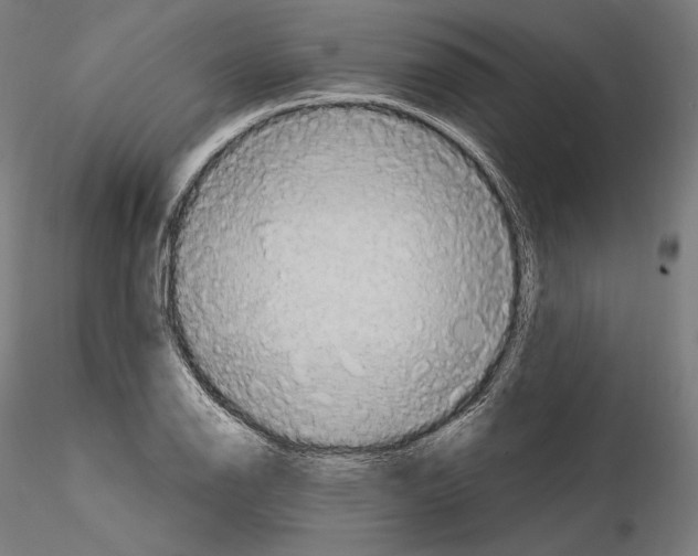 X0000115071126200912081141