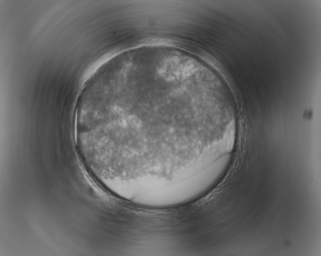 X0000115071127200912081141