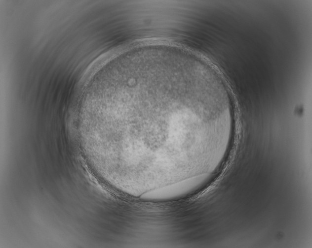 X0000115071129200912081141