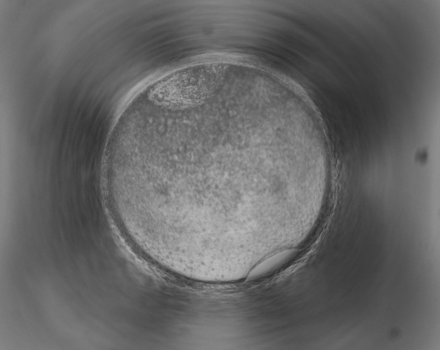 X0000115071133200912081141
