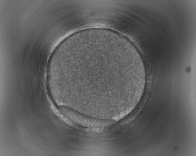 X0000115071134200912081141