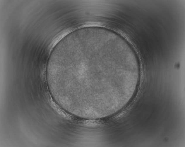 X0000115071137200912081141