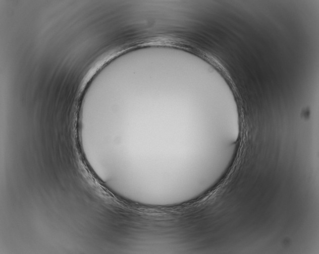 X0000115071138200912081141
