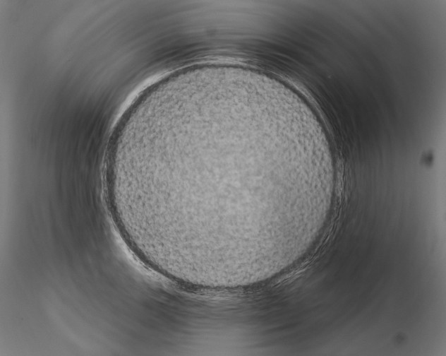X0000115071139200912081141