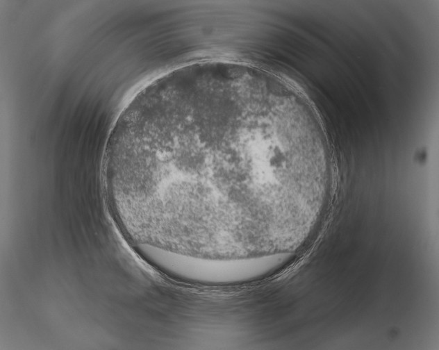 X0000115071141200912081142