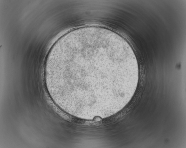 X0000115071142200912081142