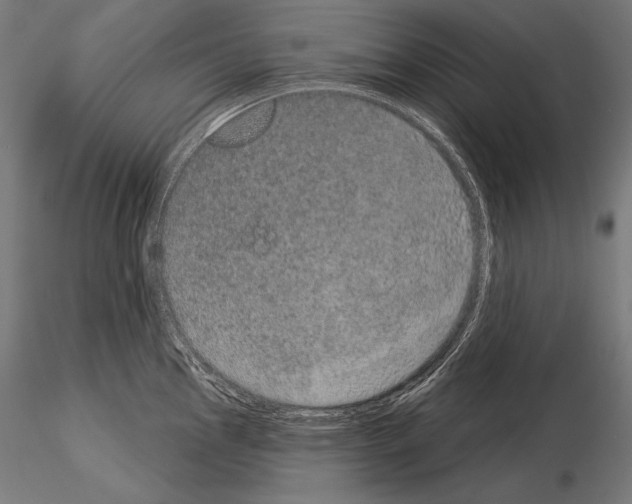 X0000115071145200912081142