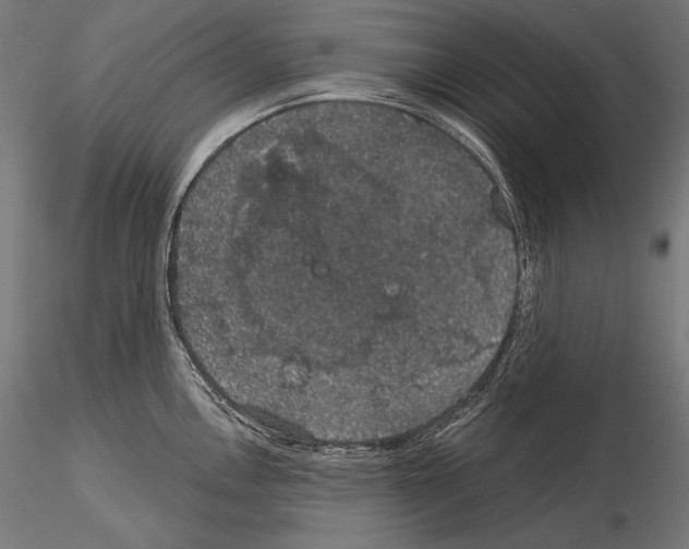 X0000115071146200912081142
