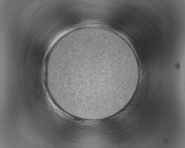 X0000115071147200912081142