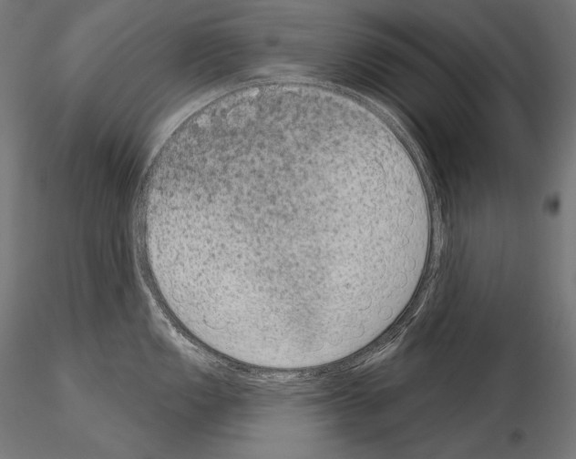 X0000115071149200912081142