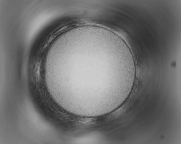 X0000115071150200912081142