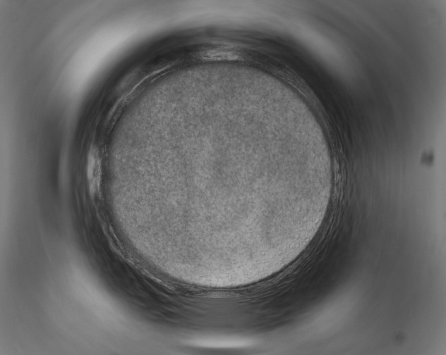 X0000115071151200912081142