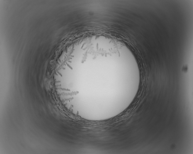X0000115071153200912081141