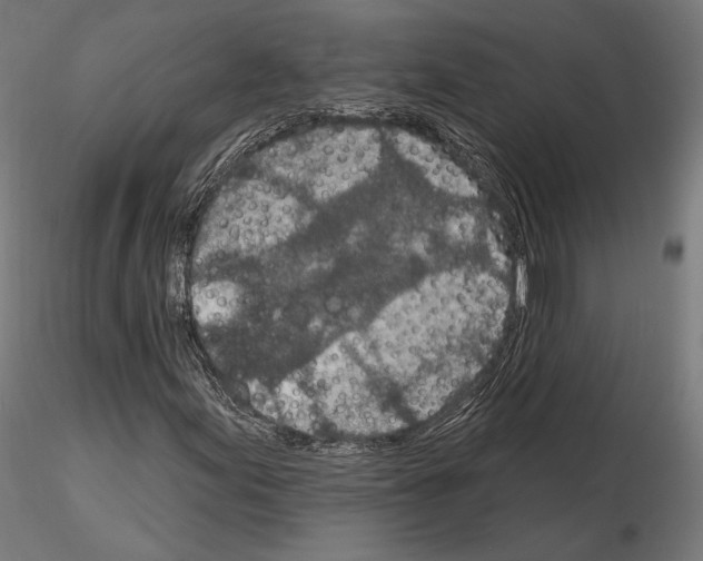 X0000115071155200912081141