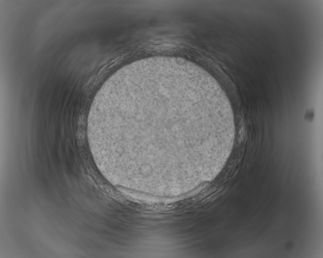 X0000115071156200912081141