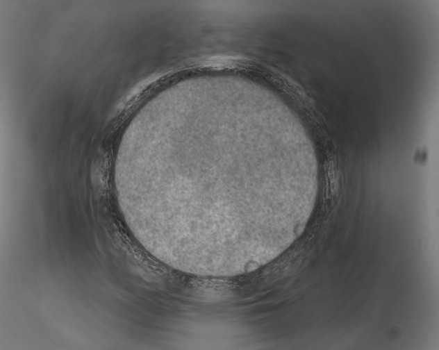 X0000115071158200912081141