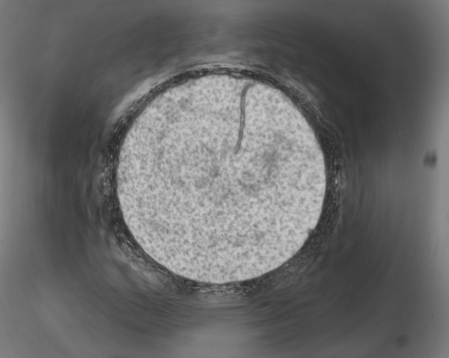 X0000115071159200912081141