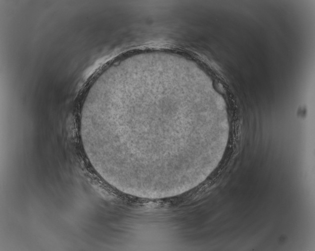 X0000115071160200912081141