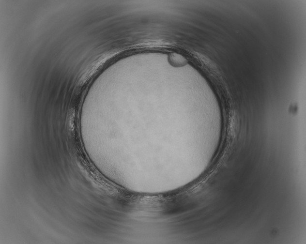 X0000115071161200912081141