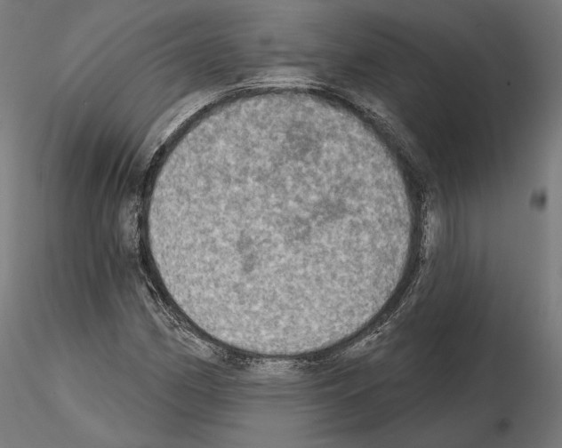 X0000115071162200912081141