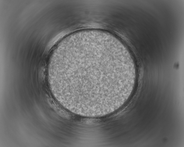 X0000115071163200912081141