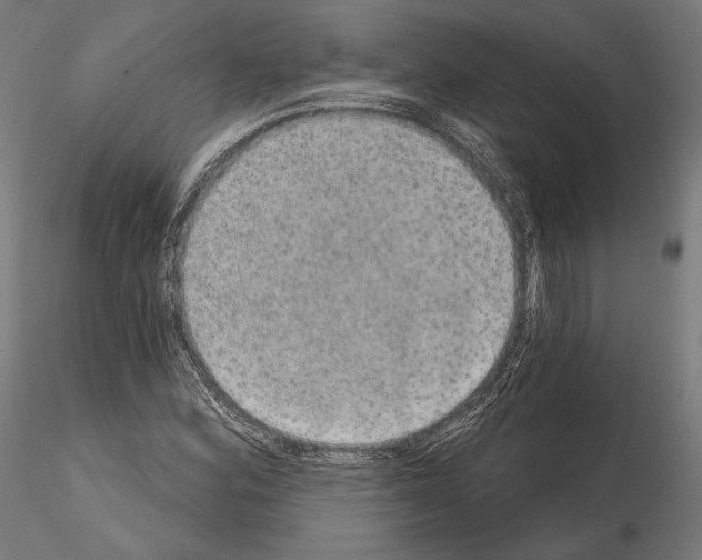 X0000115071164200912081141