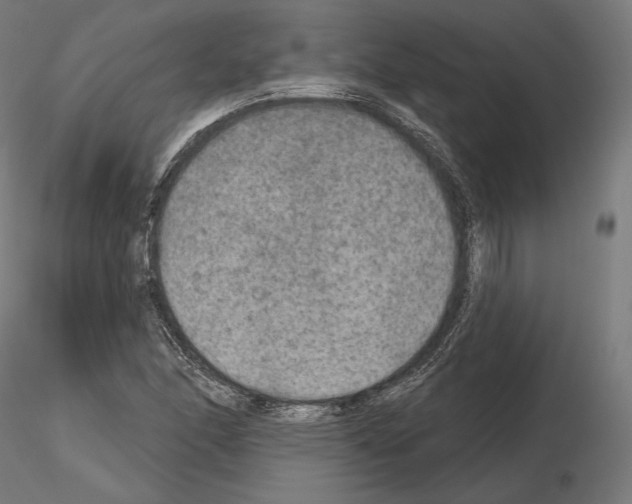 X0000115071166200912081141