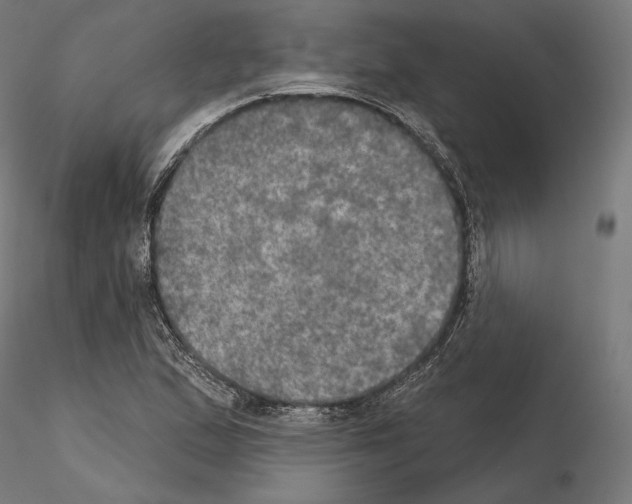 X0000115071167200912081141