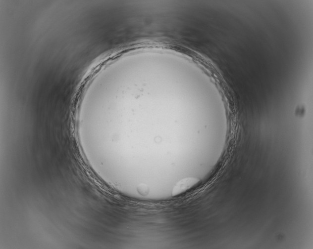 X0000115071168200912081141