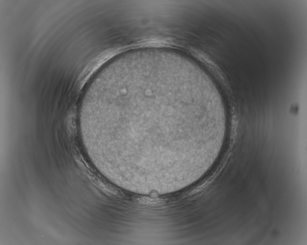 X0000115071170200912081141